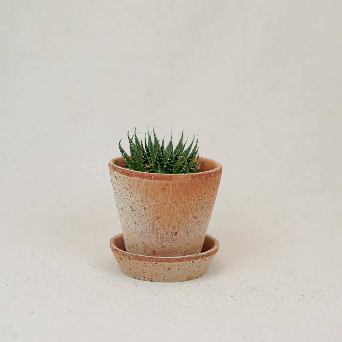 terracotta-simple-pot-pink