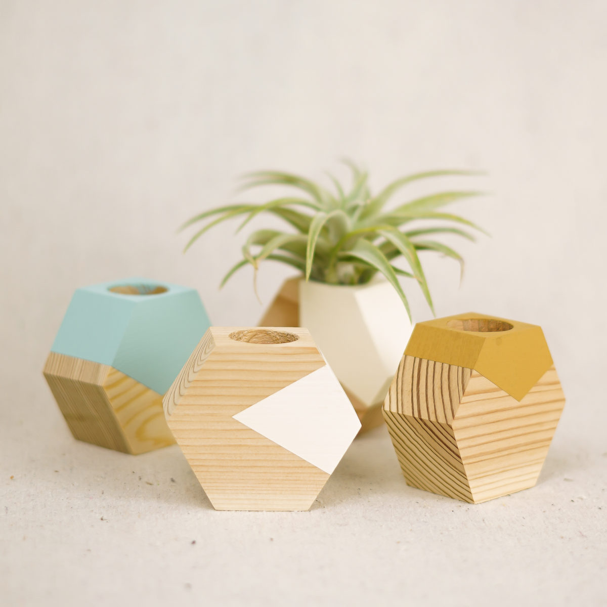 light-hex-airplant-holders