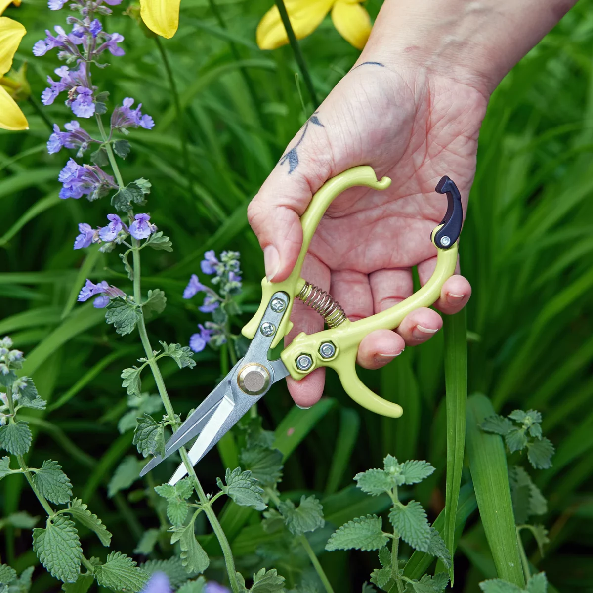 garden shears (new colors!) - Image 3