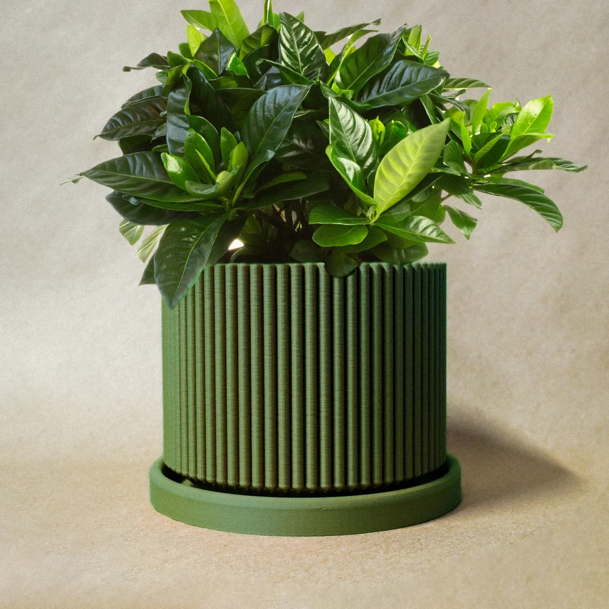 Ribbed Planter | Green - Image 2