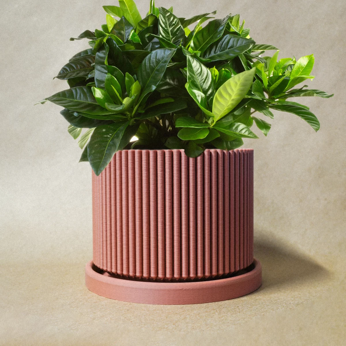 Ribbed Planter | Terracotta - Image 2