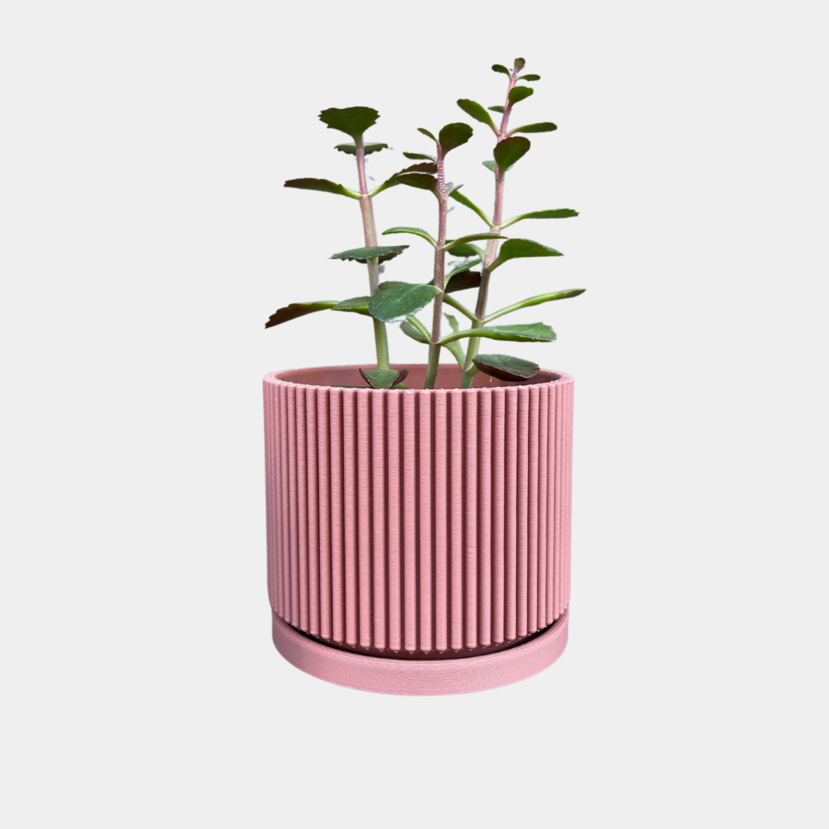 Ribbed Planter | Terracotta