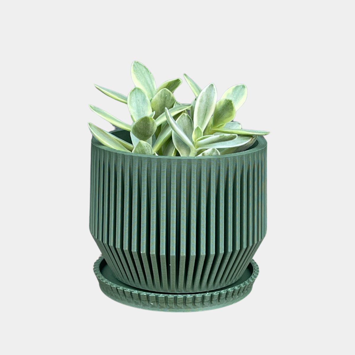 Sky Pot | Green