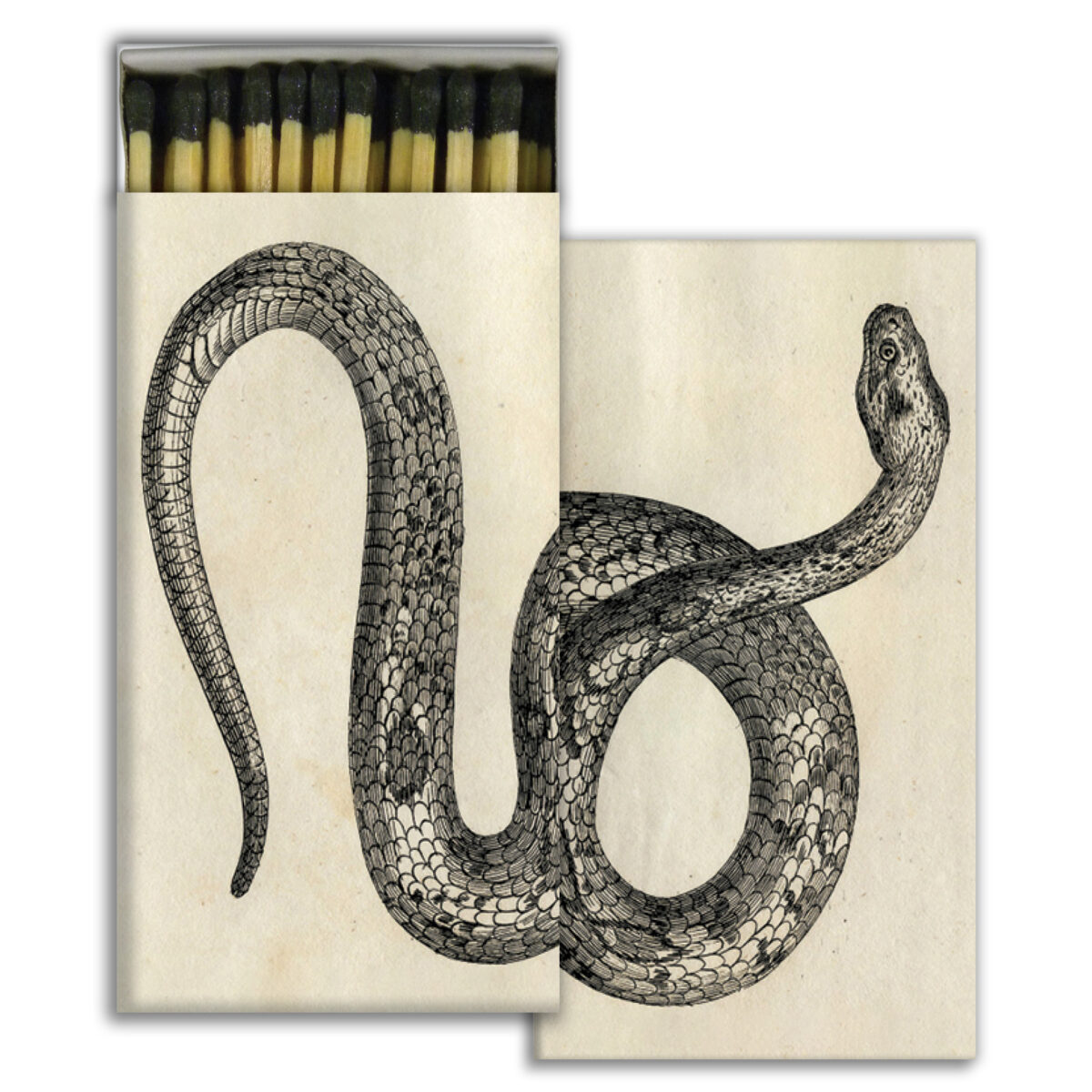Wooden Matches Animals and Critters - Image 7